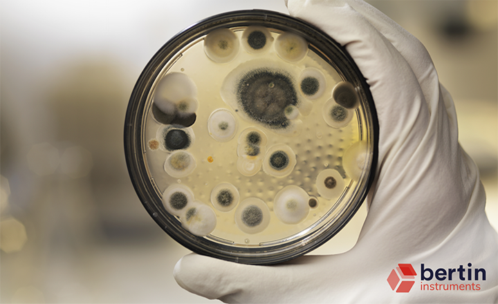 Viable Fungi in Hospital Environments