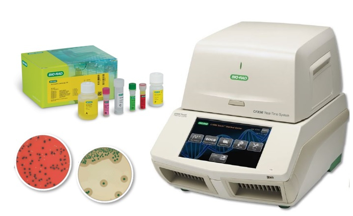 Simplify your Listeria testing with BioRads detection solutions
