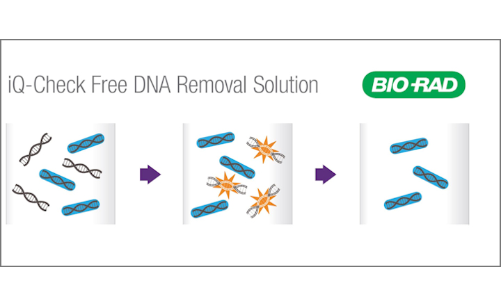 iQ-Check Free DNA Removal Solution