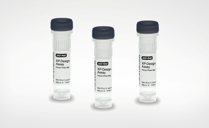 Bio-Rad XP-Design Assay <em>Salmonella</em> Serotyping Solution for Rapid Accurate Food Safety Testing.