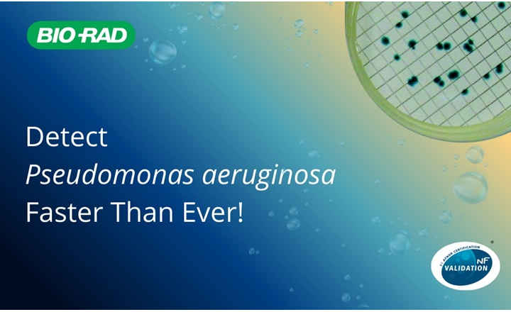 Accelerate <em>Pseudomonas aeruginosa</em> testing