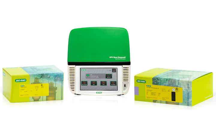 Bio-Rad Launches EZ-Check Kit for Detection of <em>Salmonella </em>spp. in Food and Environmental Samples