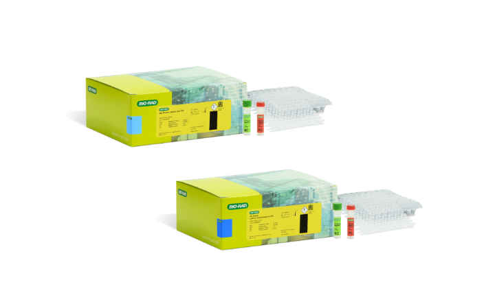 EZ Check Listeria Test Kit