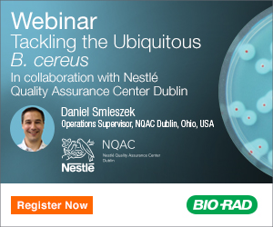 Tackling the Ubiquitous <em>B.cereus</em>
