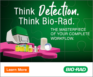 Think Detection Think Bio Rad Learn More