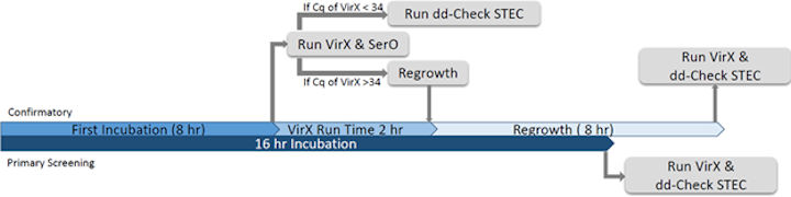 sample processing workflow timeline
