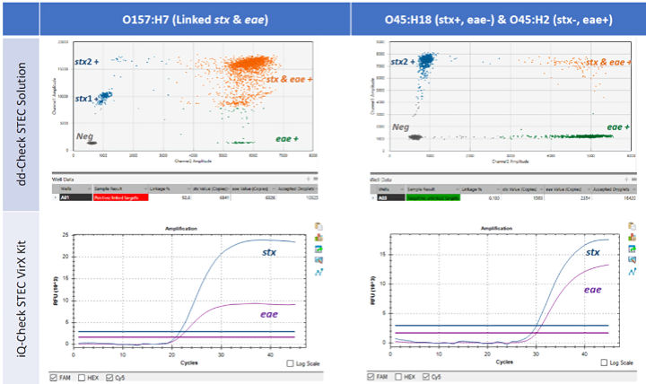 Figure 2: Results detecting linked and unlinked virulence genes