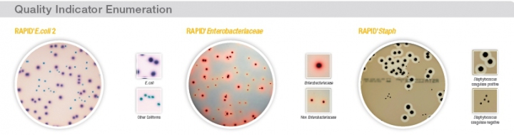 Chromogenic Media for Quality Indicators