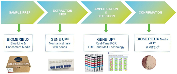 2424_biomerieux_GENE-UP_STEPS
