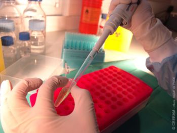 PCR Kit Norovirus Hepatitis