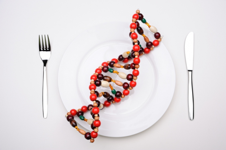 GMO real time PCR kits