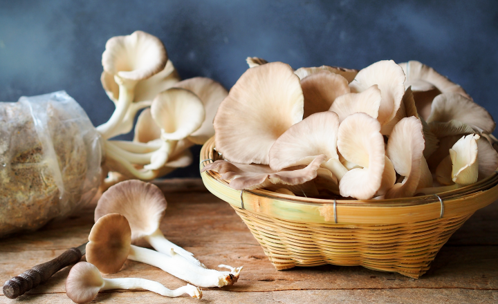Food pathogens in mushrooms