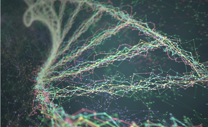 From Guesswork to Certainty: Achieving Species-level Microbial Identification