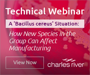 Technical Webinar about Bacillus cereus