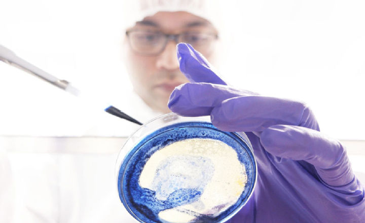 Microbiologist working in cleanroom