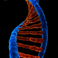 Microbial identification and strain typing