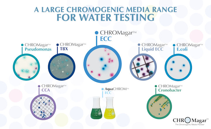 Chromagar Chromgenic plates for water and beverage spoilage organisms