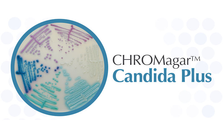 chromogenic media for candida auris from chromagar