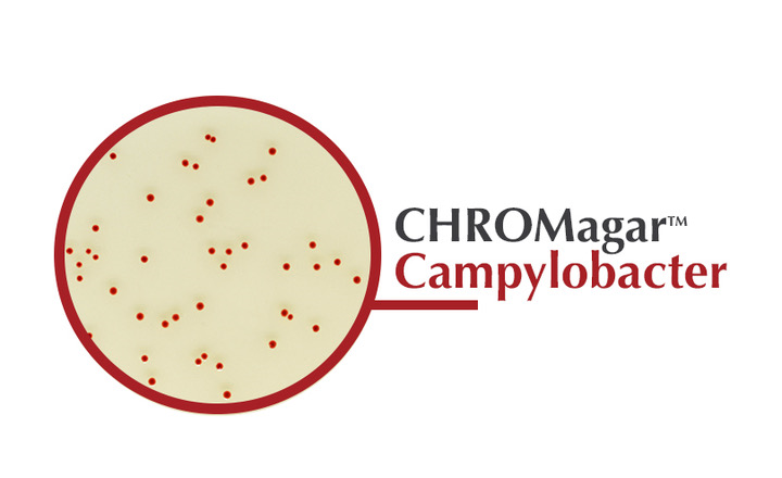 Chromogenic media for Campylobacter