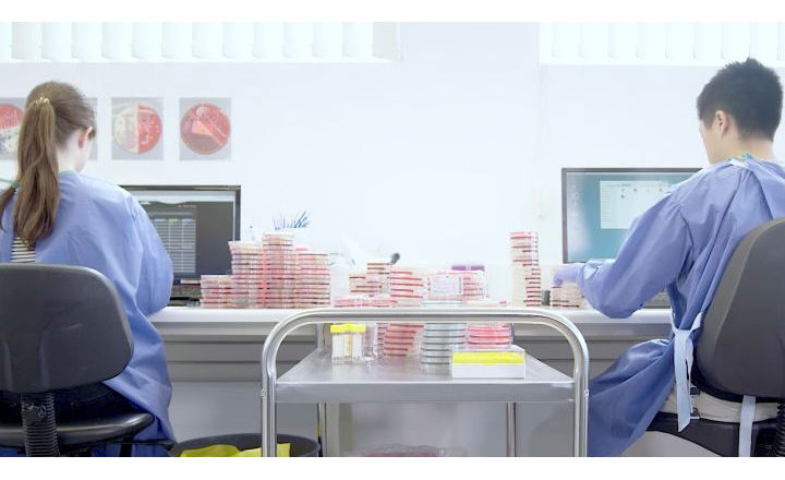 Environmental Monitoring: Overcome Challenges with Manual Plate Reading