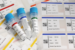 Colour coded laboratory labels