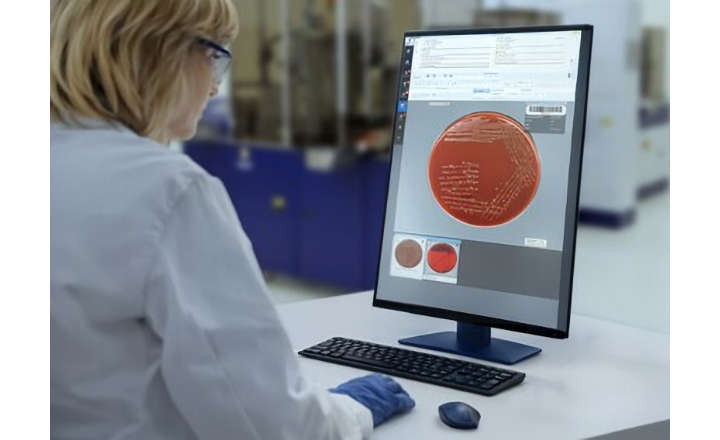 Scientist uses the PhenoMATRIX system