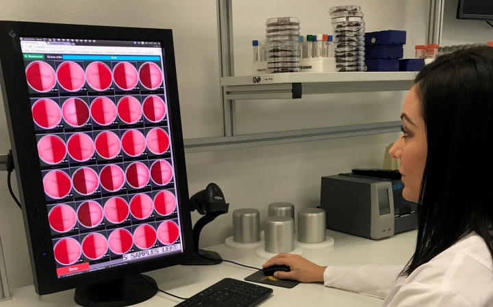 PhenoMATRIX - automated read interpret and segregate bacterial cultures