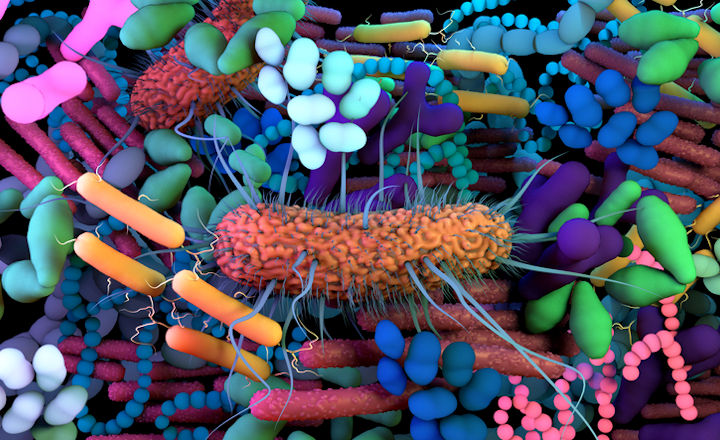 Microbiome sequencing