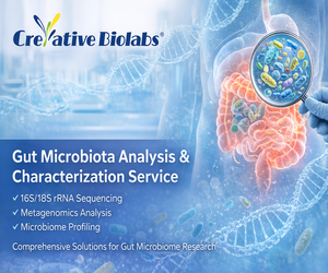 Gut Microbiota Analysis and Characterization Service-Creative Biolabs