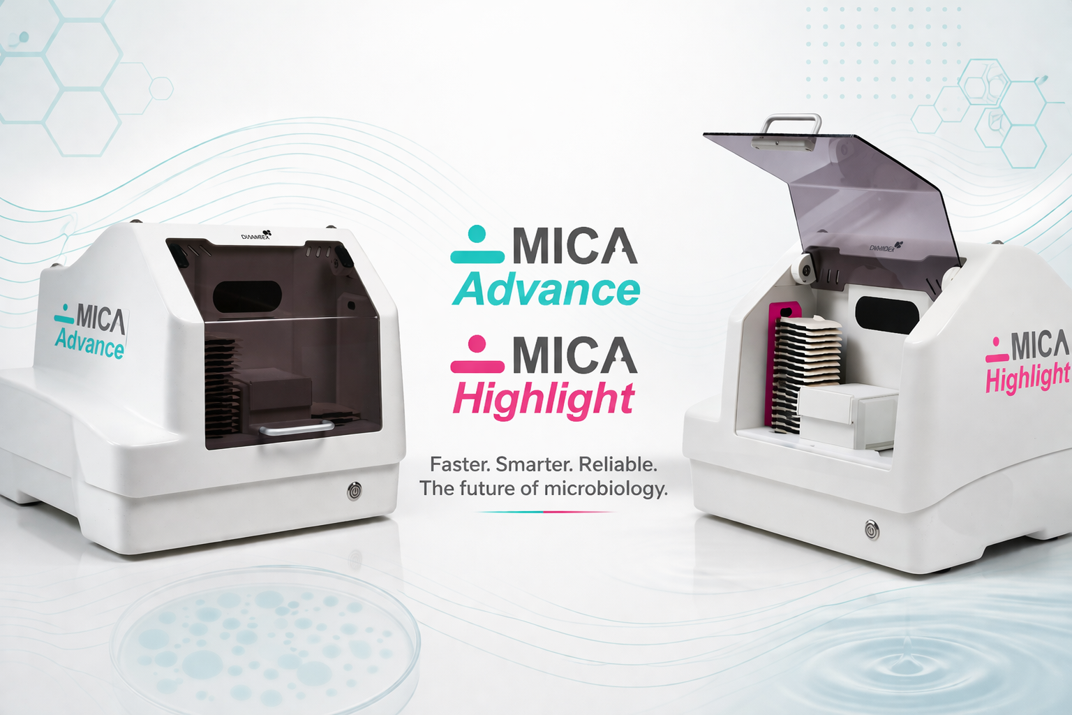 Count microcolonies with MICA Fluorescence and MICA Chromogenic