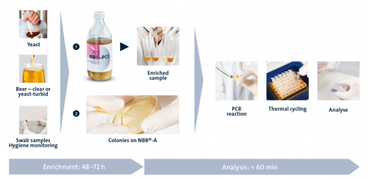 Beer Spoilage Detect and ID Workflow