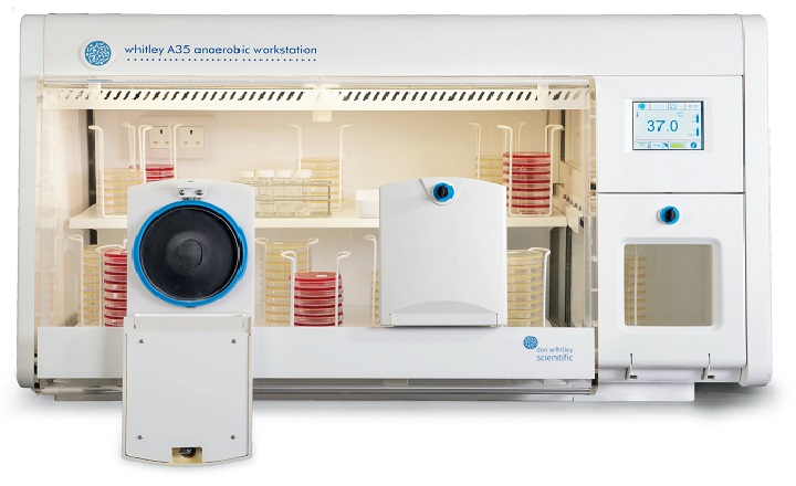 Probably the best anaerobic and microaerobic workstations available Insist on a Whitley Workstation