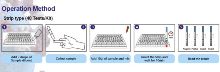 Ce Marked Covid 19 Igm Igg Lateral Flow Kit Provides Results