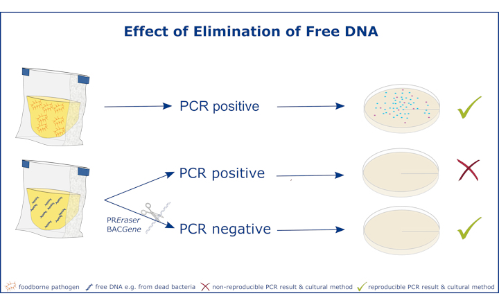 Elimination of Free DNA