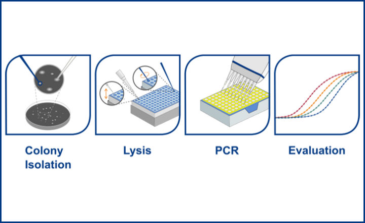 BACGene Legionella Multiplex kit