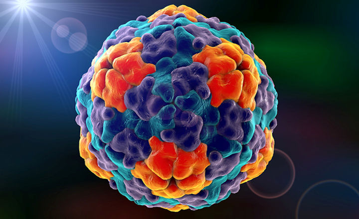 hepatitis A detect food viruses