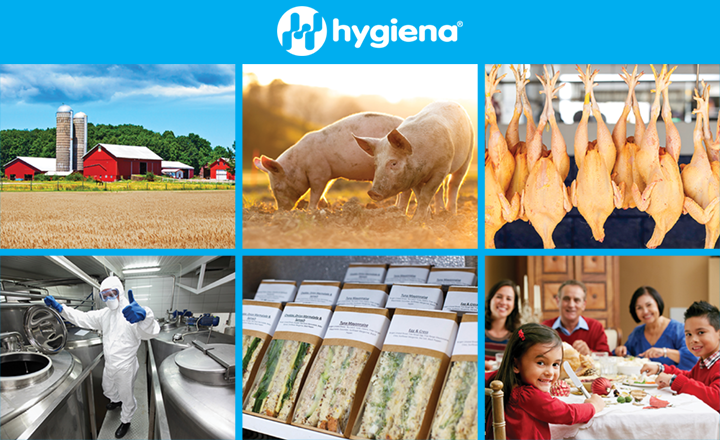 Hygiena Food Safety