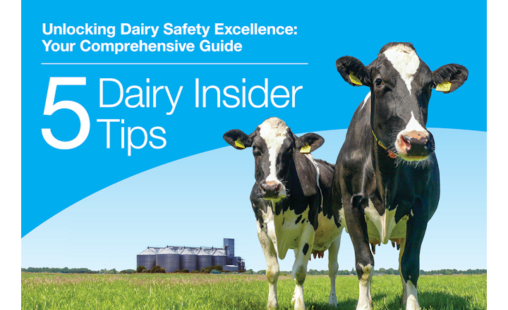 5 Dairy Insider Tips
