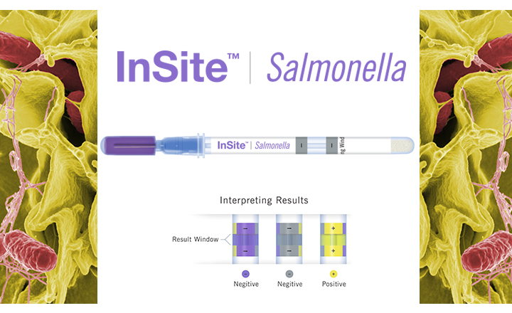 InSite Salmonella