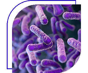 Pathogens
