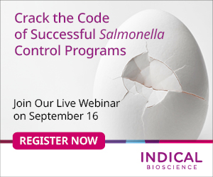 Crack the Code of Successful <em>Salmonella </em>Control Programs