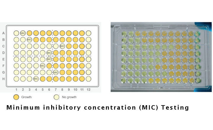 Minimum inhibitory concentration testing