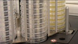 MEDIAJET high throughput petri dish filling