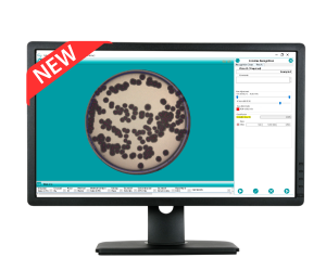 SphereFlash AI Colony Counting Software