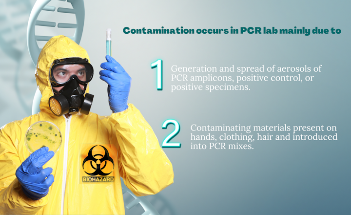 PCR laboratory workflow