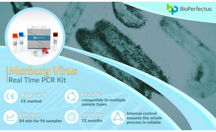 BioPerfectus Marburg Virus Real Time PCR Kit