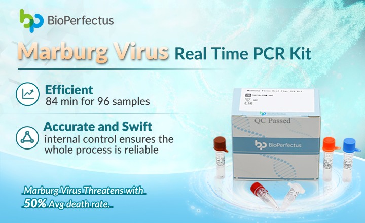 Marburg Virus PCR Assay
