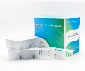 Nucleic Acid Extraction Rapid Kit - Magnetic Bead Method