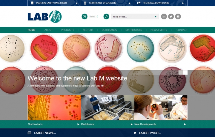 Lab M Website