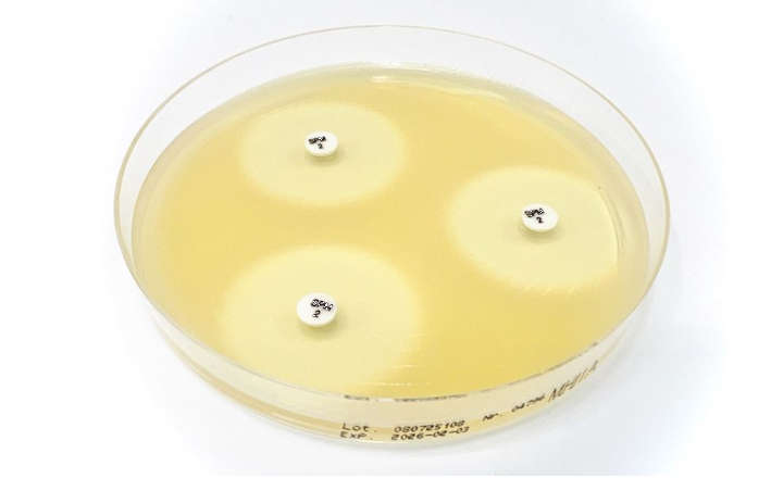 US FDA-cleared Sulopenem Disc SPM 2 µg